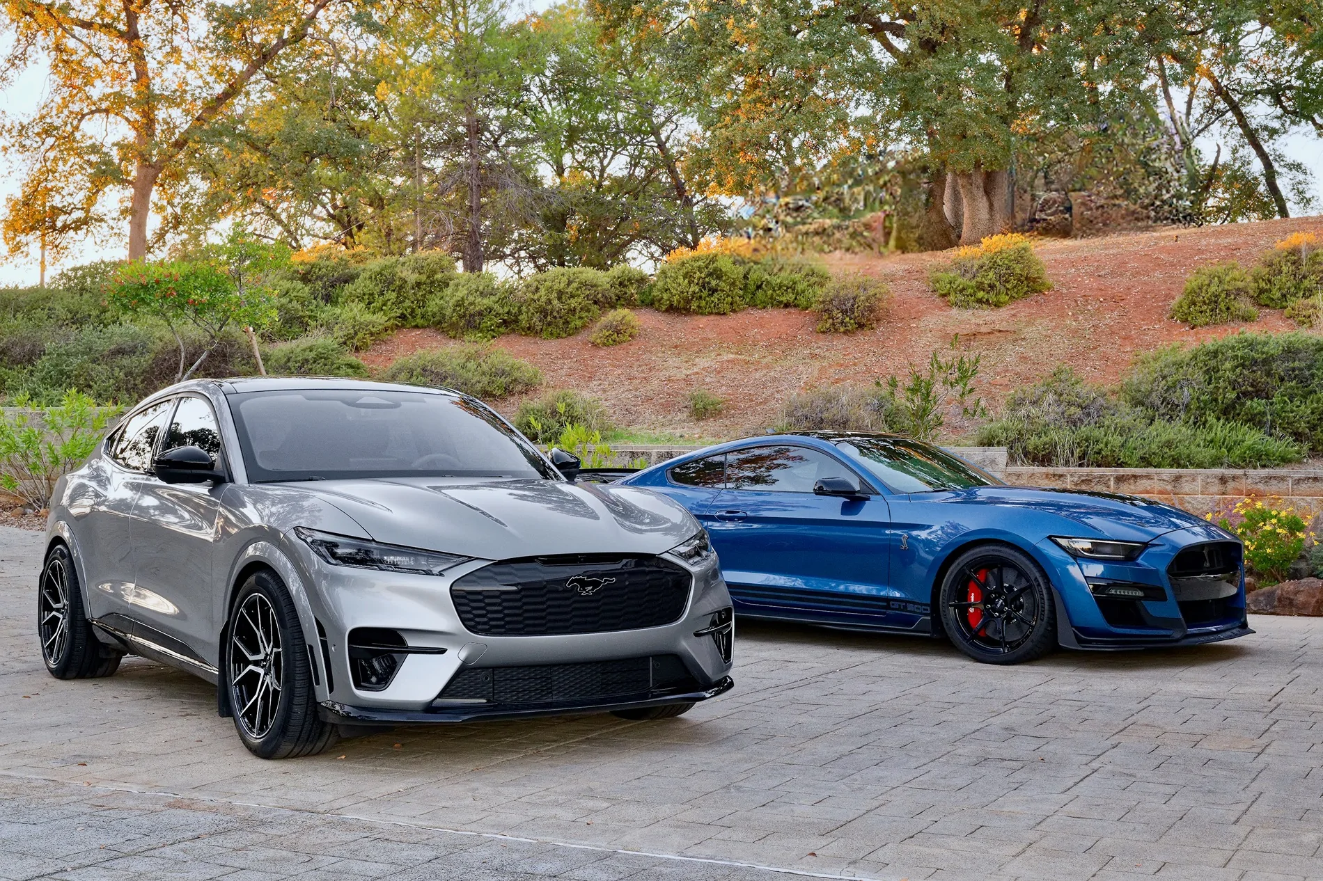 Ford Mustang Mach-E Largest rear tire that can fit on a 2025 GT Mach E Z8_0008 (2)