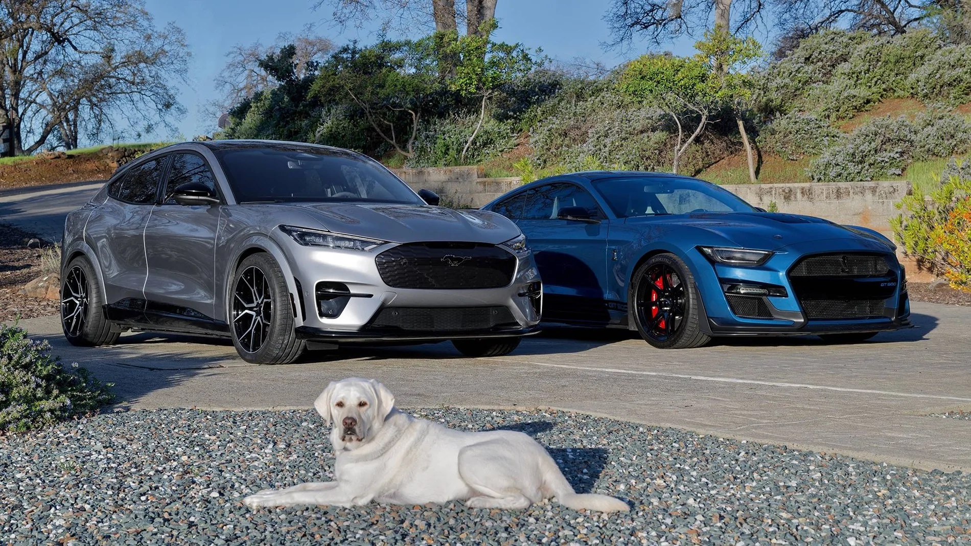 Ford Mustang Mach-E Largest rear tire that can fit on a 2025 GT Mach E 126359-e84225b246edf977ded1109cb4984807