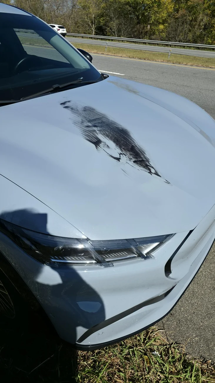 Ford Mustang Mach-E Mach-E vs tire on highway 6028