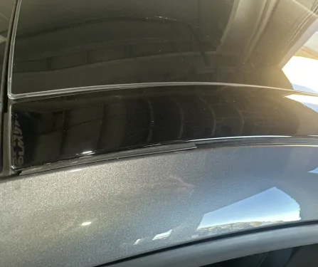 Ford Mustang Mach-E Shredded weatherstripping on roof trim: how worried should I be? weatherstripping1