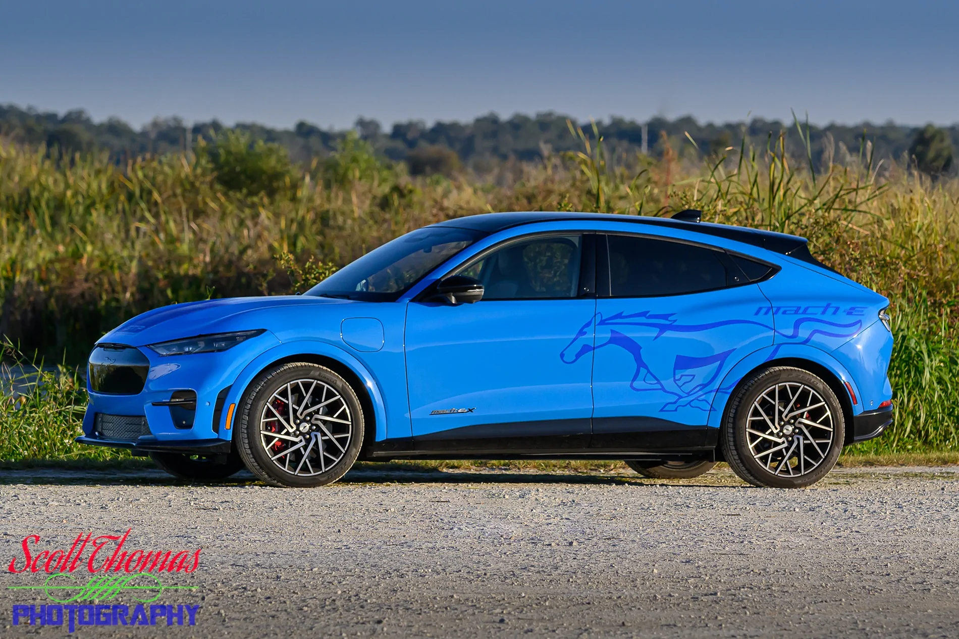 Ford Mustang Mach-E stMache - Blu Max, The Performance Edition STP_20251104_043