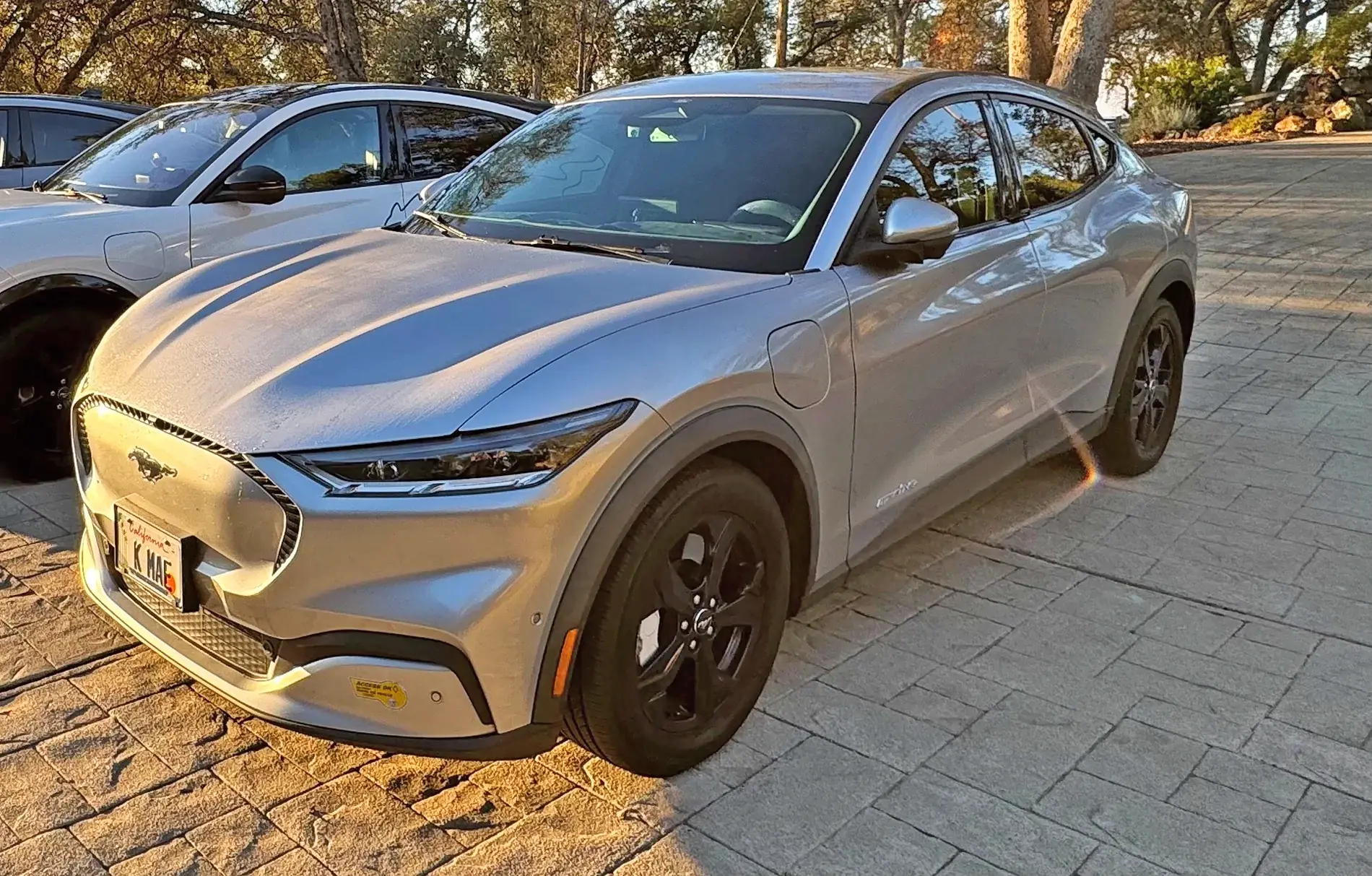 Ford Mustang Mach-E 2021 Select AWD SR Suspension Upgrade: Eibach anti-roll swaybars and Mach-E Rally springs 157840-205d57f9a5d7a5e253a623b712201719