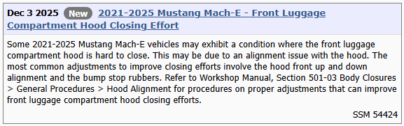 Ford Mustang Mach-E 2025 Frunk Review! By a Frunk Lover! SSM 54424 Frunk Closing Effort