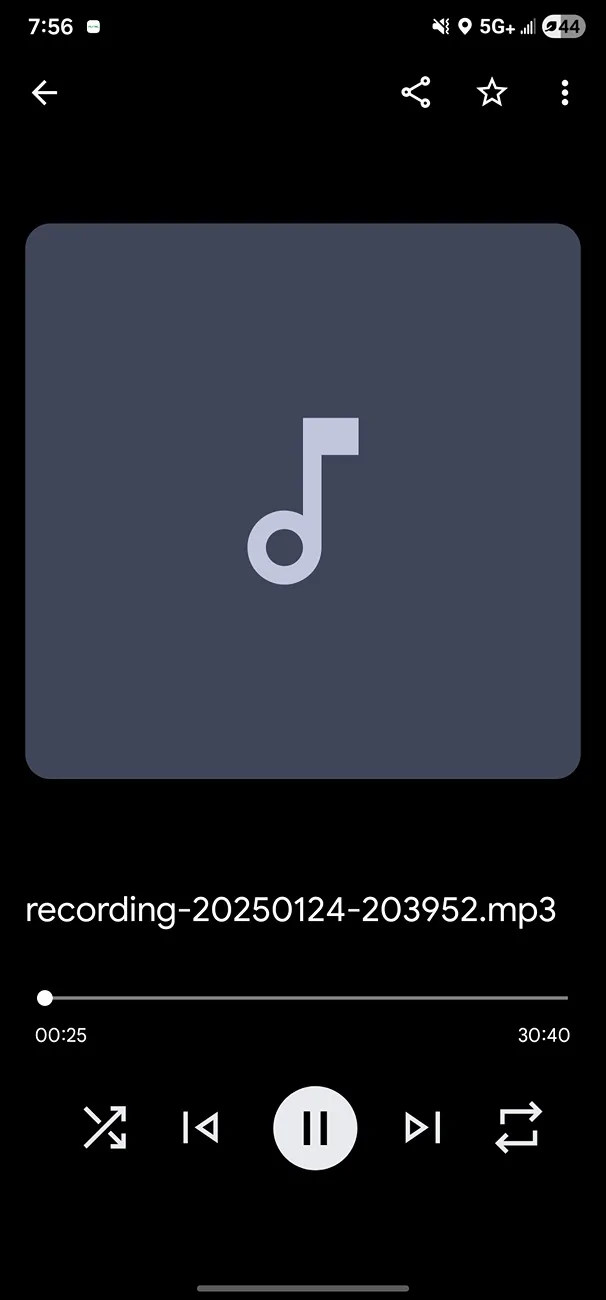 Ford Mustang Mach-E Media controls for Bluetooth audio when connected to Android Auto Screenshot_20251212_075647_Files by Googl