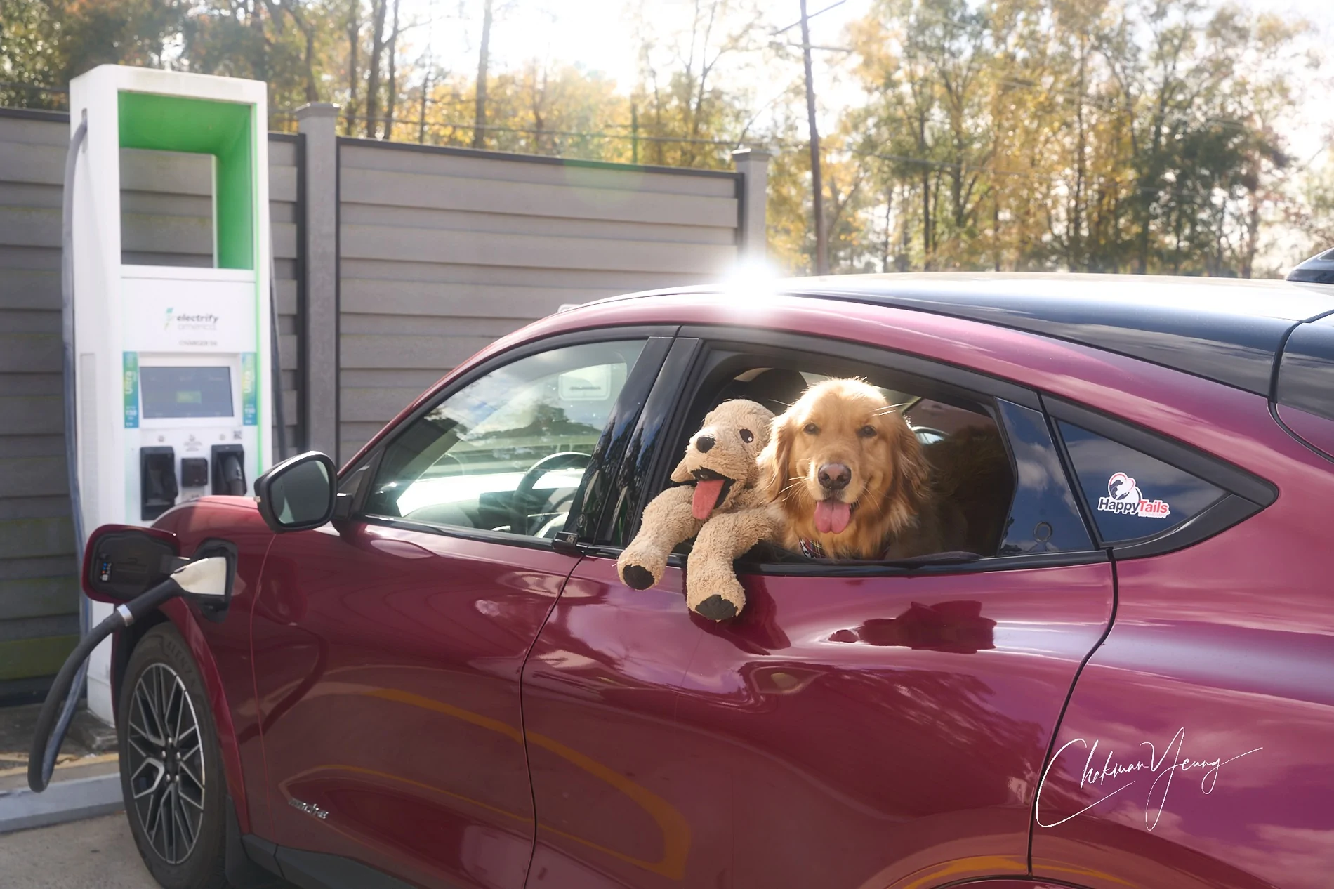 Ford Mustang Mach-E Adventures with 🐶 Bob (Atlanta-New Orleans-Houston) A1_08719