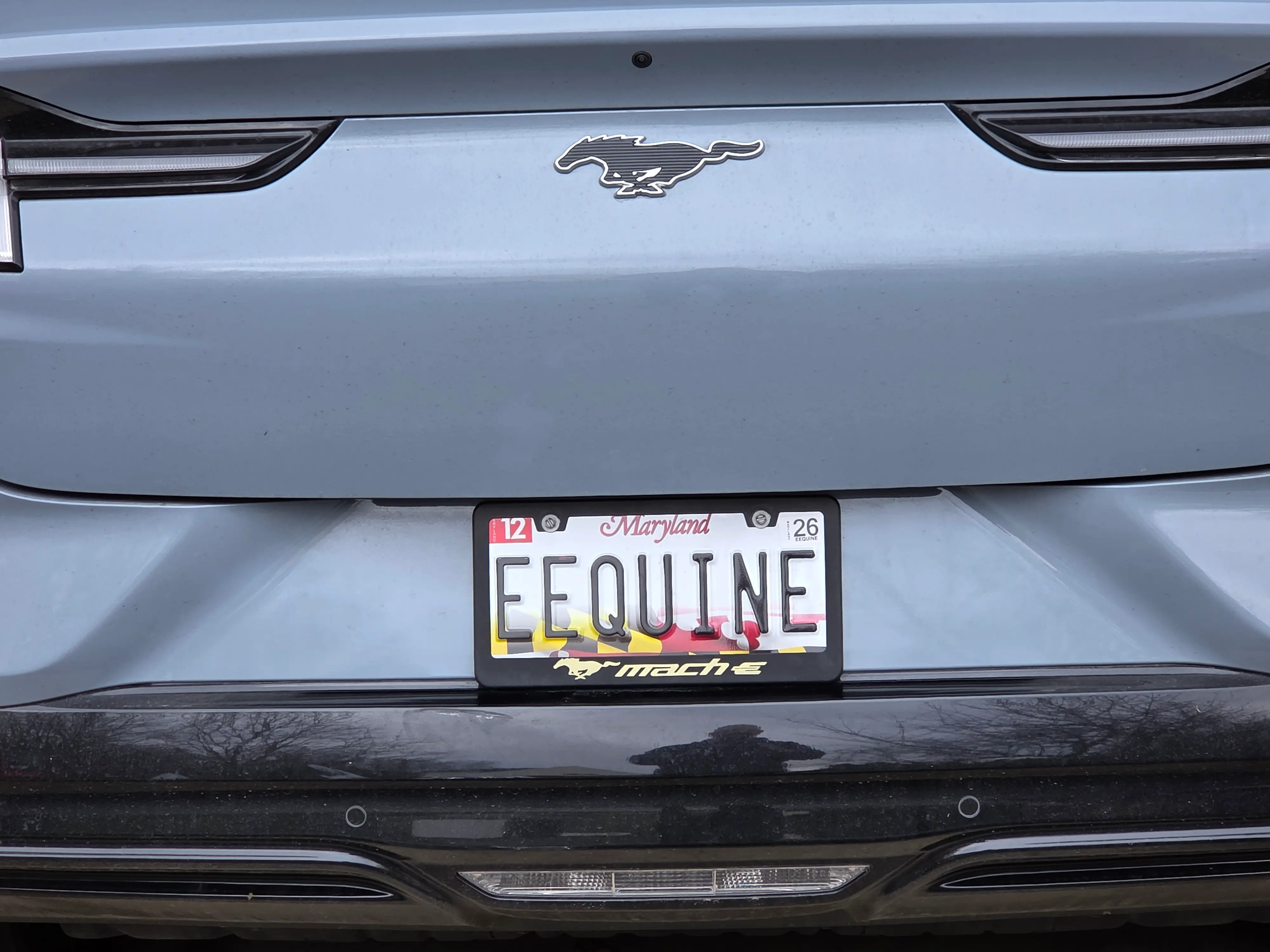 Ford Mustang Mach-E New tags... 1000021303