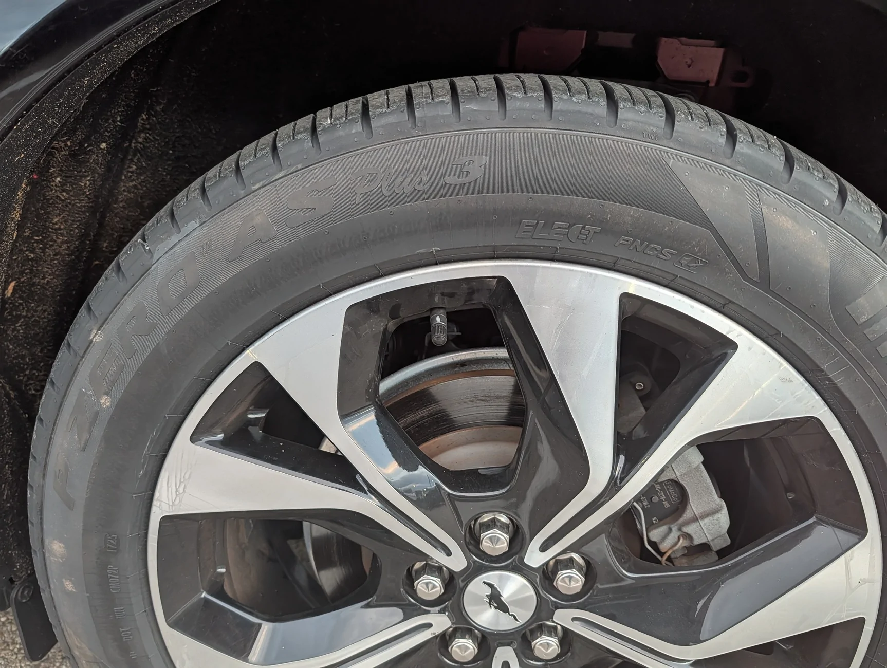 Ford Mustang Mach-E Pirelli P Zero AS Plus 3 -vs- Pirelli  P Zero All Season Plus Elect Pirelli P Zero AS Plus 3 Elect #1