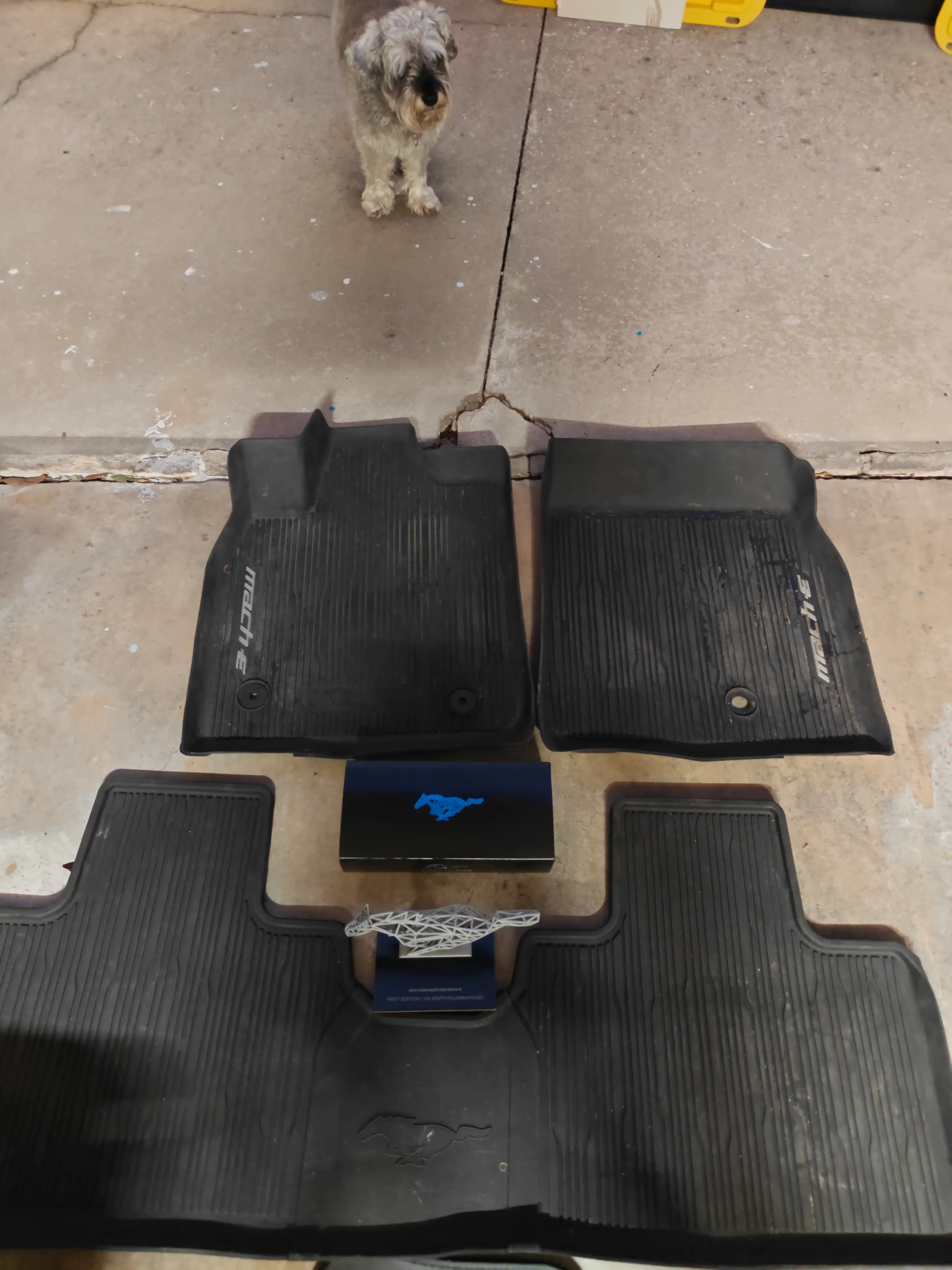 Ford Mustang Mach-E Multiple MachE Items 17679143817247202566352932318538