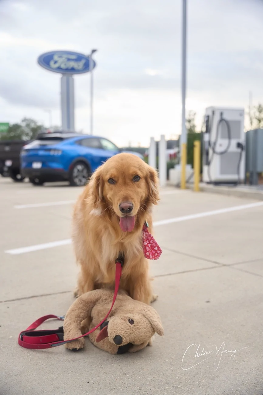 Ford Mustang Mach-E Adventures with 🐶 Bob (Atlanta-New Orleans-Houston) A1_08897