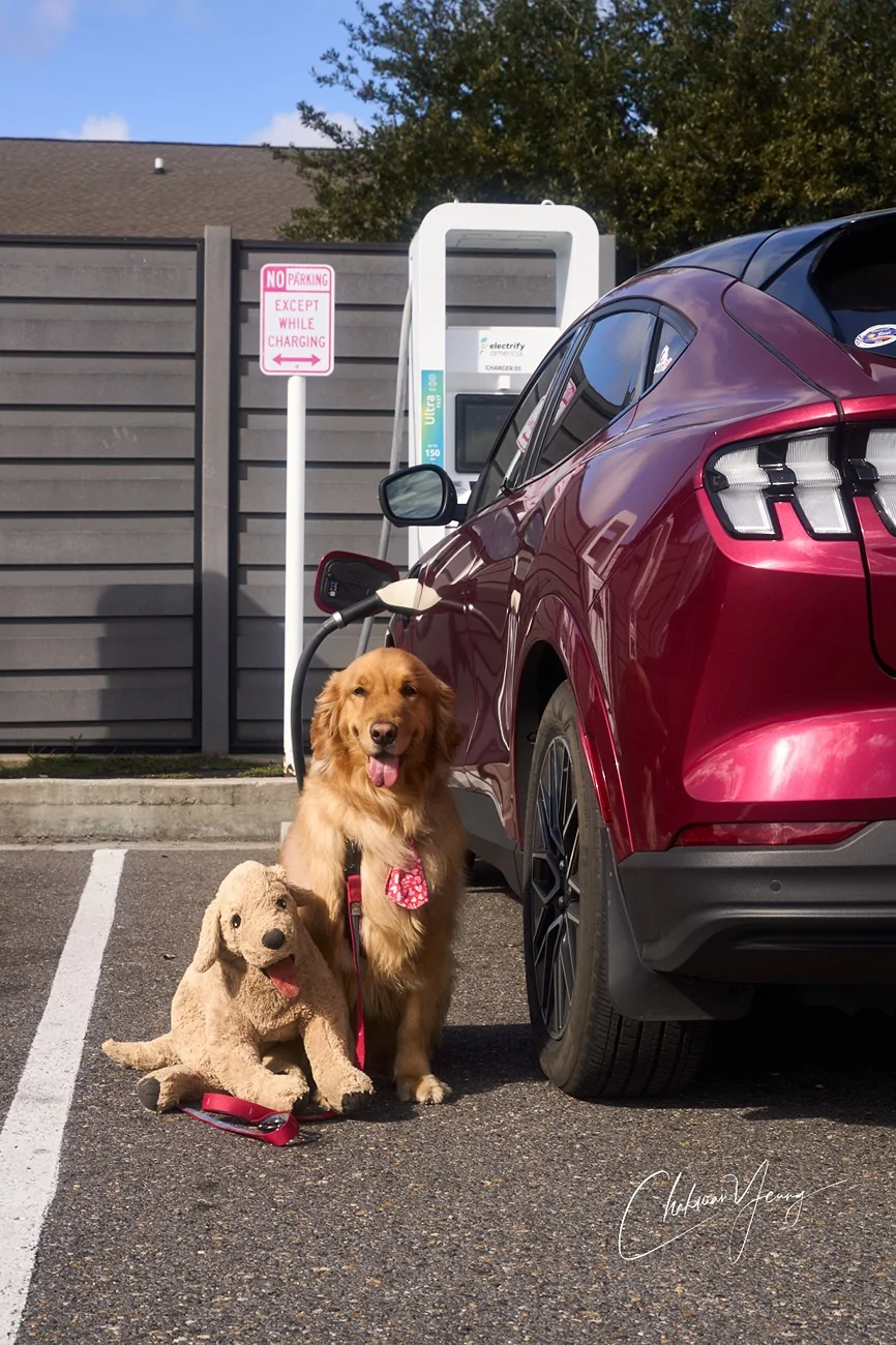 Ford Mustang Mach-E Adventures with 🐶 Bob (Atlanta-New Orleans-Houston) A1_08883