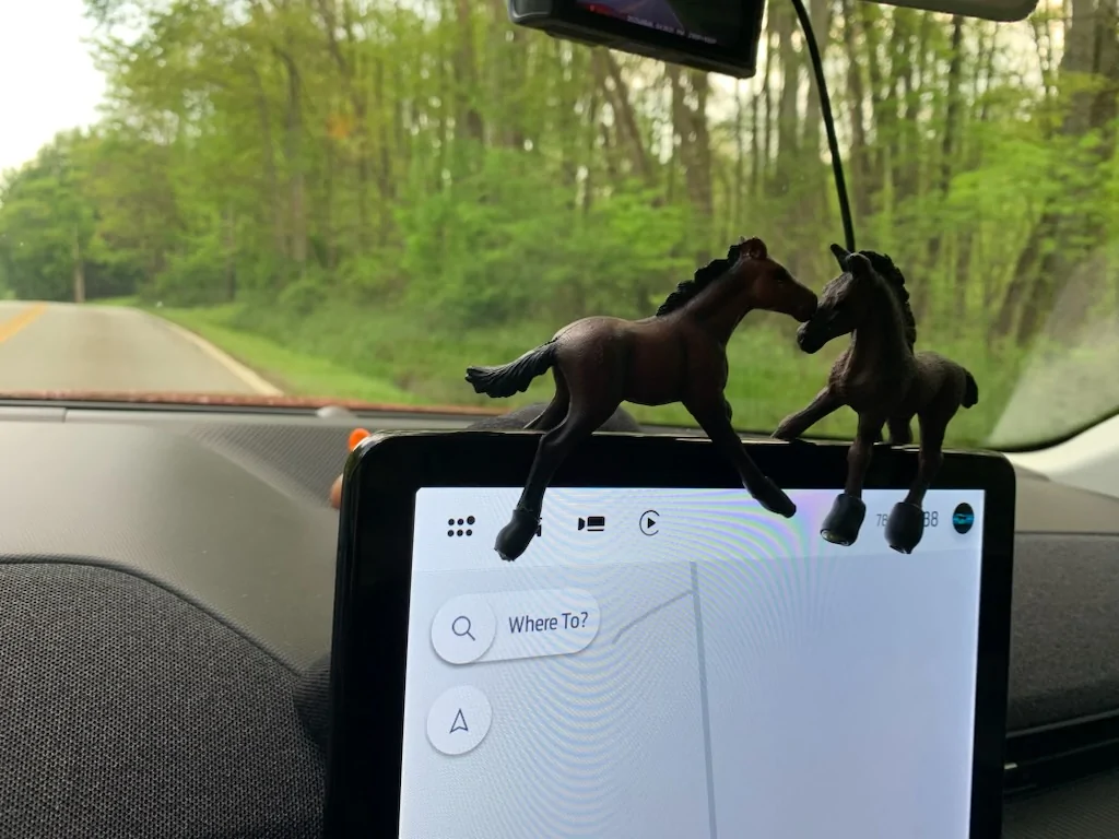 Ford Mustang Mach-E Jeeps Share Ducks. Let's Share Ponies Mustangs on the center screen 5-15-2025a