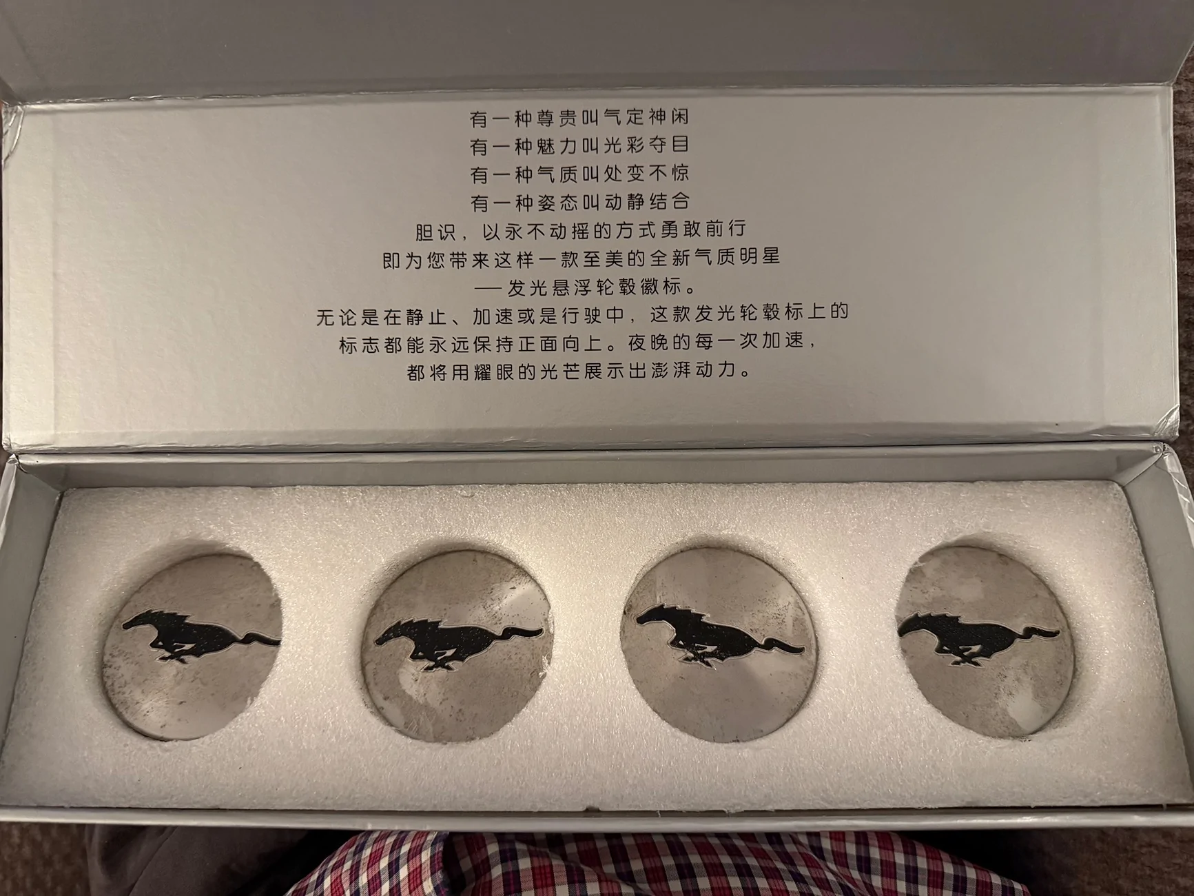 Ford Mustang Mach-E Funny translation cap - 2