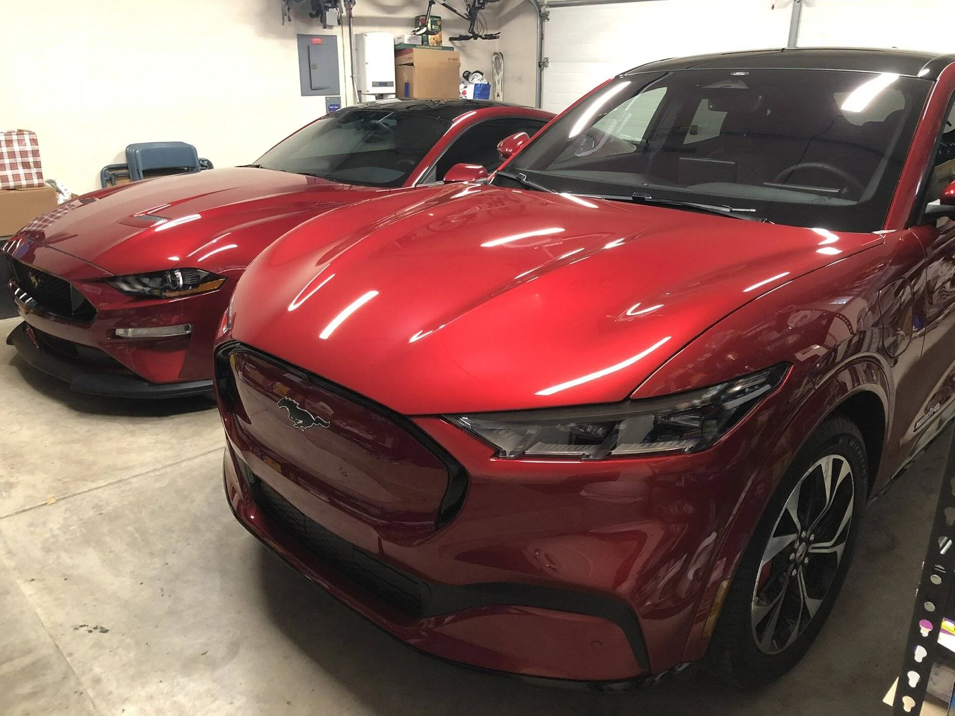 Ford Mustang Mach-E What About Ceramic Coating? A2DC2861-CE50-4E89-BF33-35C91375DD77