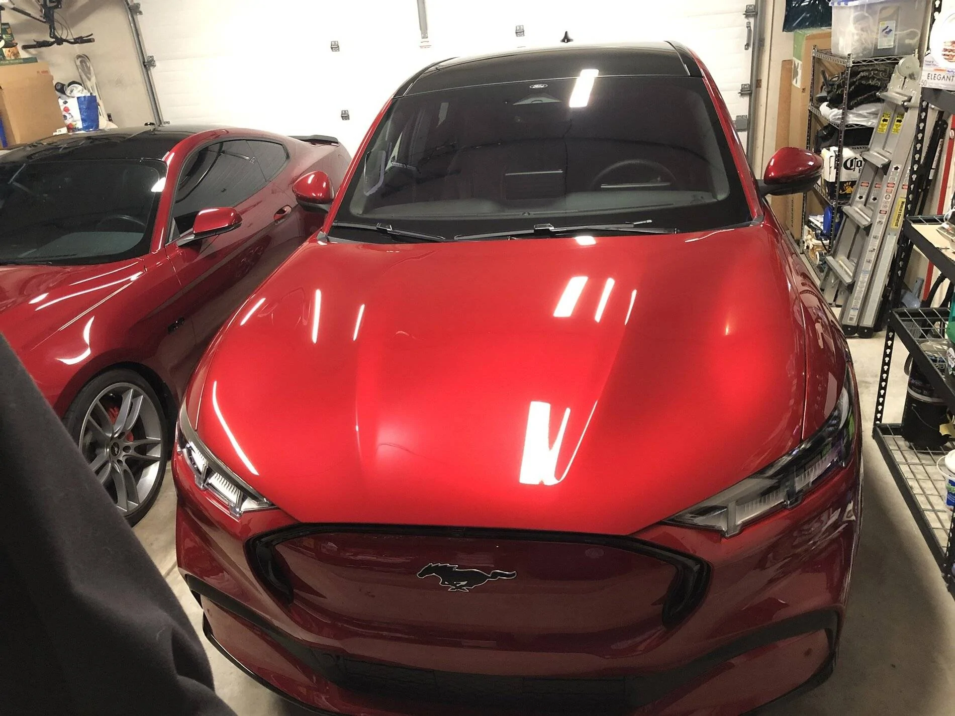 Ford Mustang Mach-E What About Ceramic Coating? 42C26467-3A78-4628-BAA9-1D258B3F2DE7