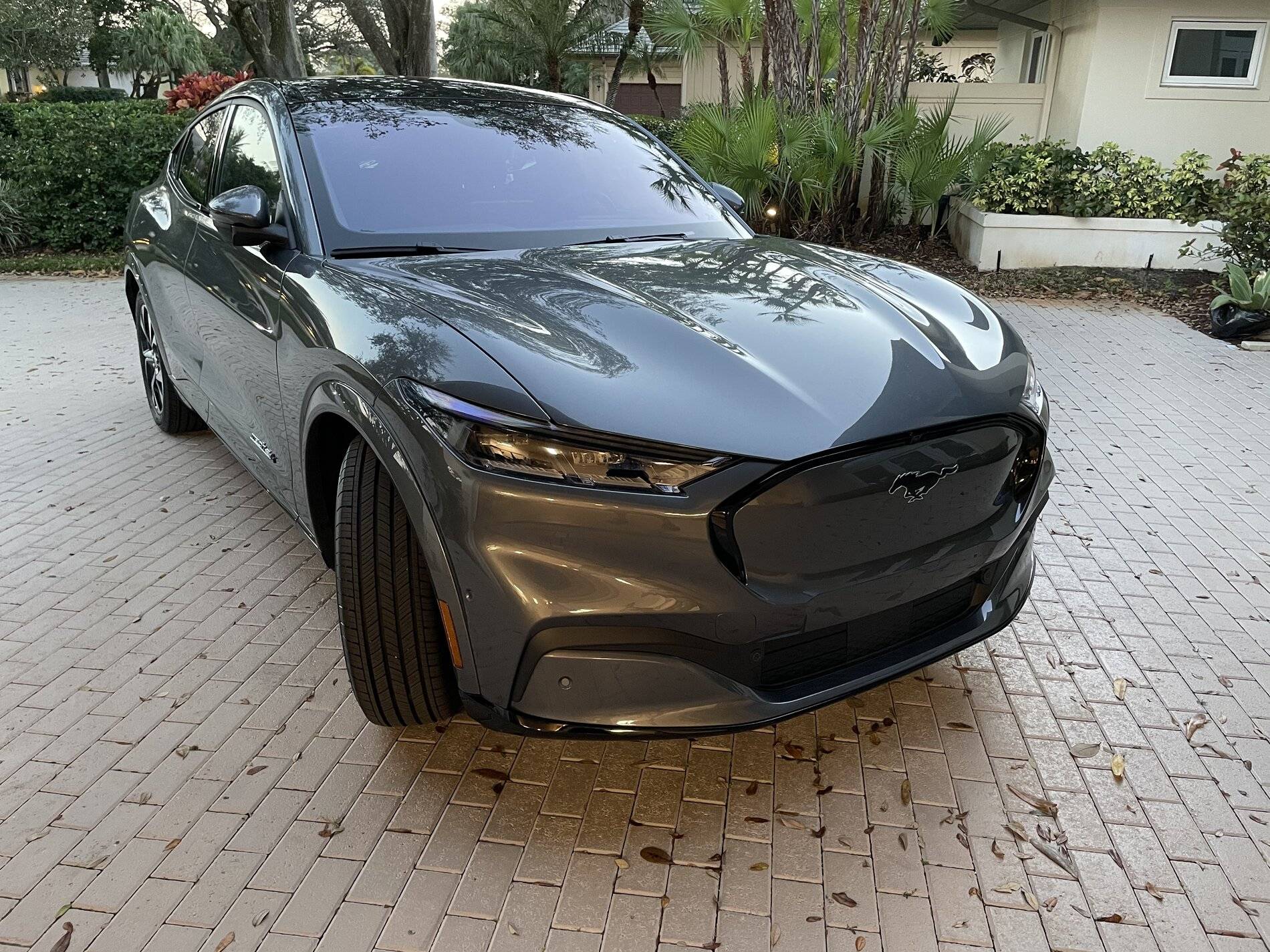 Ford Mustang Mach-E Surprise! E788FCB1-DA9B-4695-80D4-D86BB4B09688