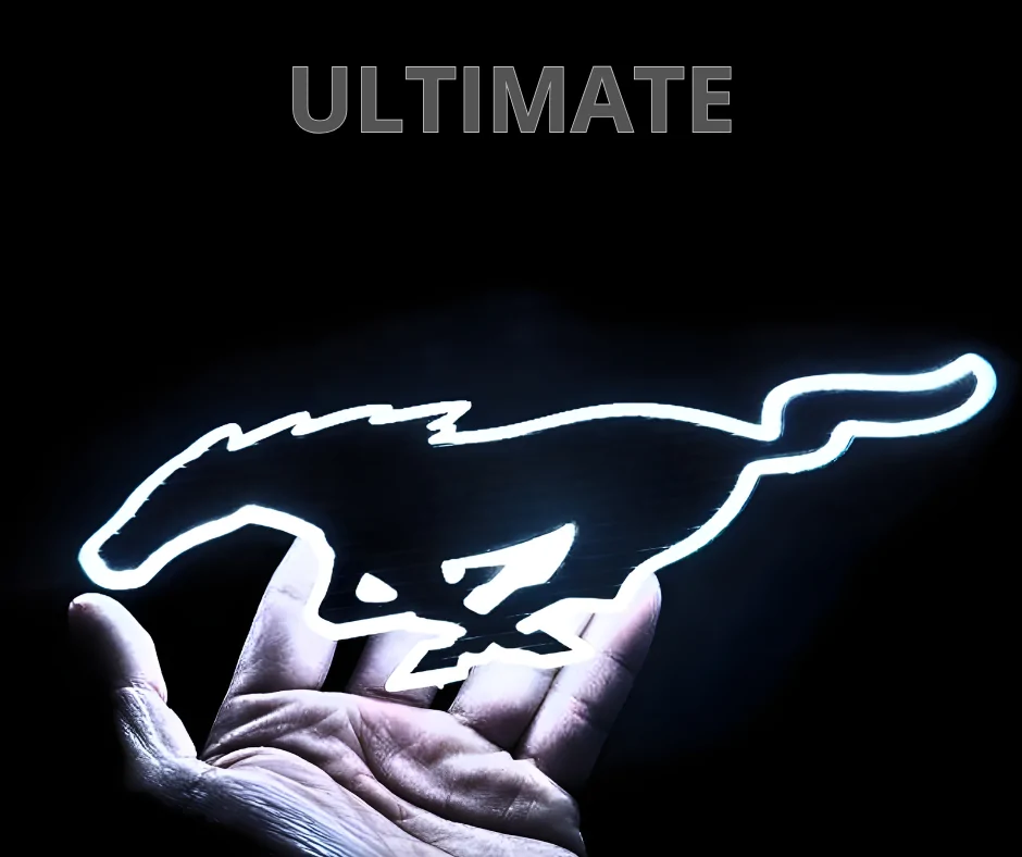 ULTIMATE (9).webp