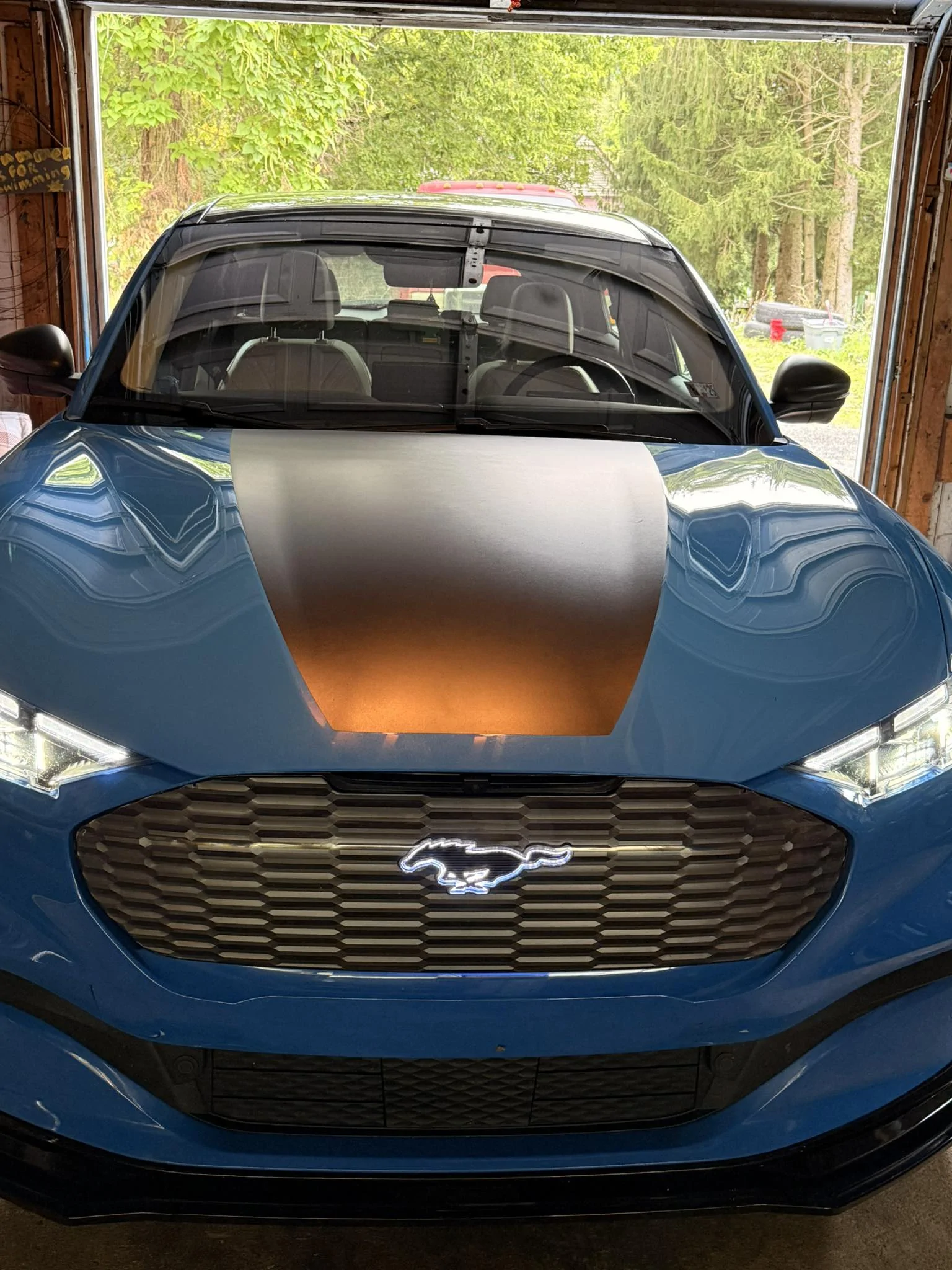 Ford Mustang Mach-E Time to SHOW OFF 3D GRILLES. 534610952_122134224770856829_1089700401117998737_n