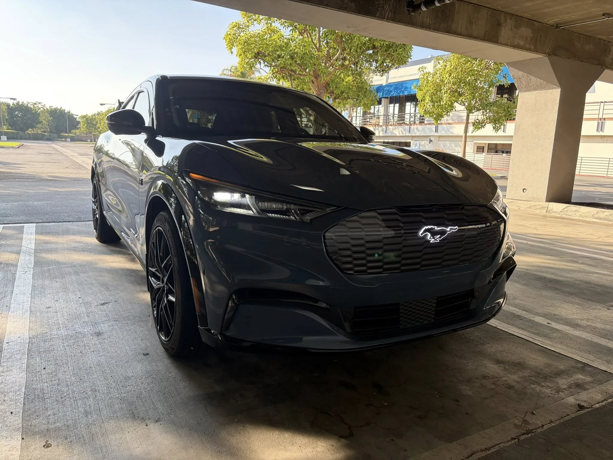 Ford Mustang Mach-E Time to SHOW OFF 3D GRILLES. Young