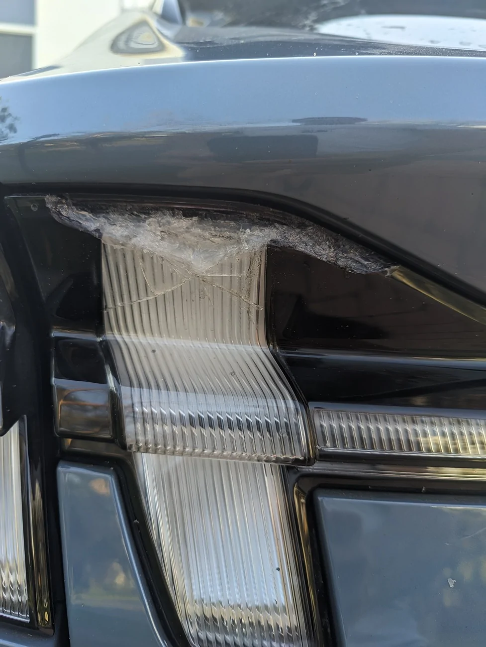 Ford Mustang Mach-E Tail trunk light cracked.. Aggghhh AGC_20260216_172203958