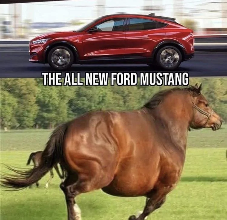 Ford Mustang Mach-E EV haters get the xkcd treatment awdq2rs3esz31
