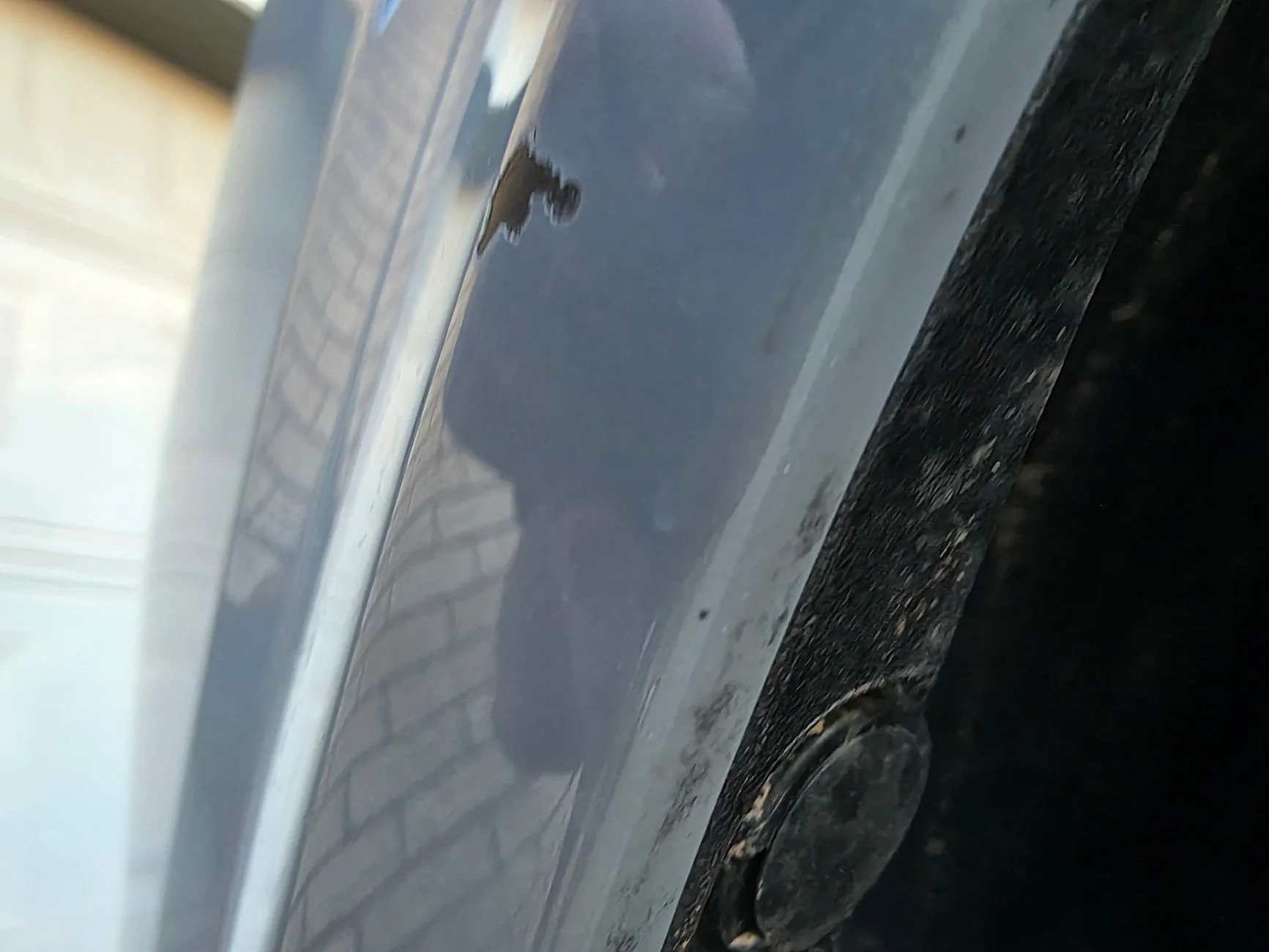 Ford Mustang Mach-E Paint issue 1000016593