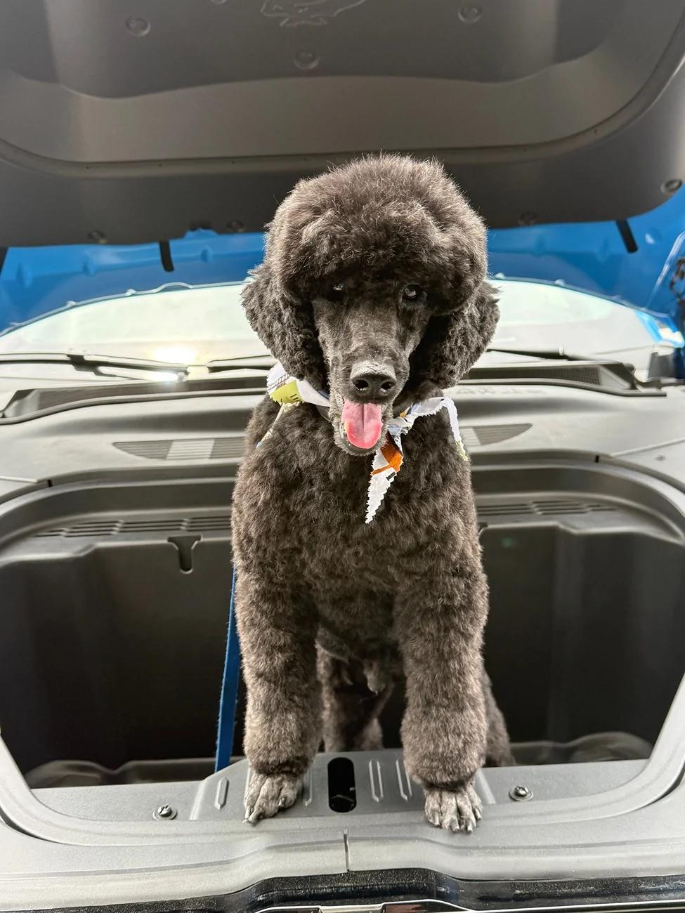 New Update (Instrument Panel Cluster Control Module) gives credit to ...