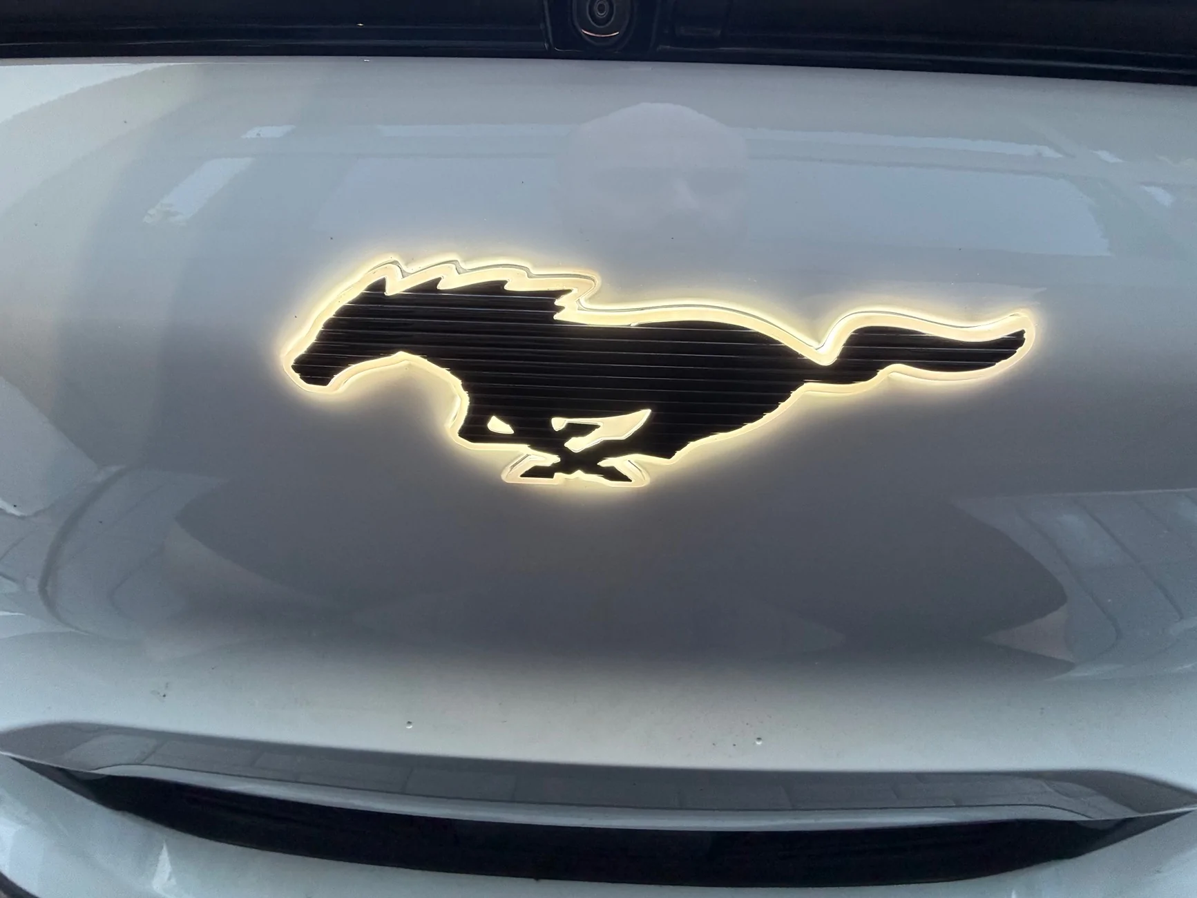Ford Mustang Mach-E BSKT Design LED Ponies IMG_0803