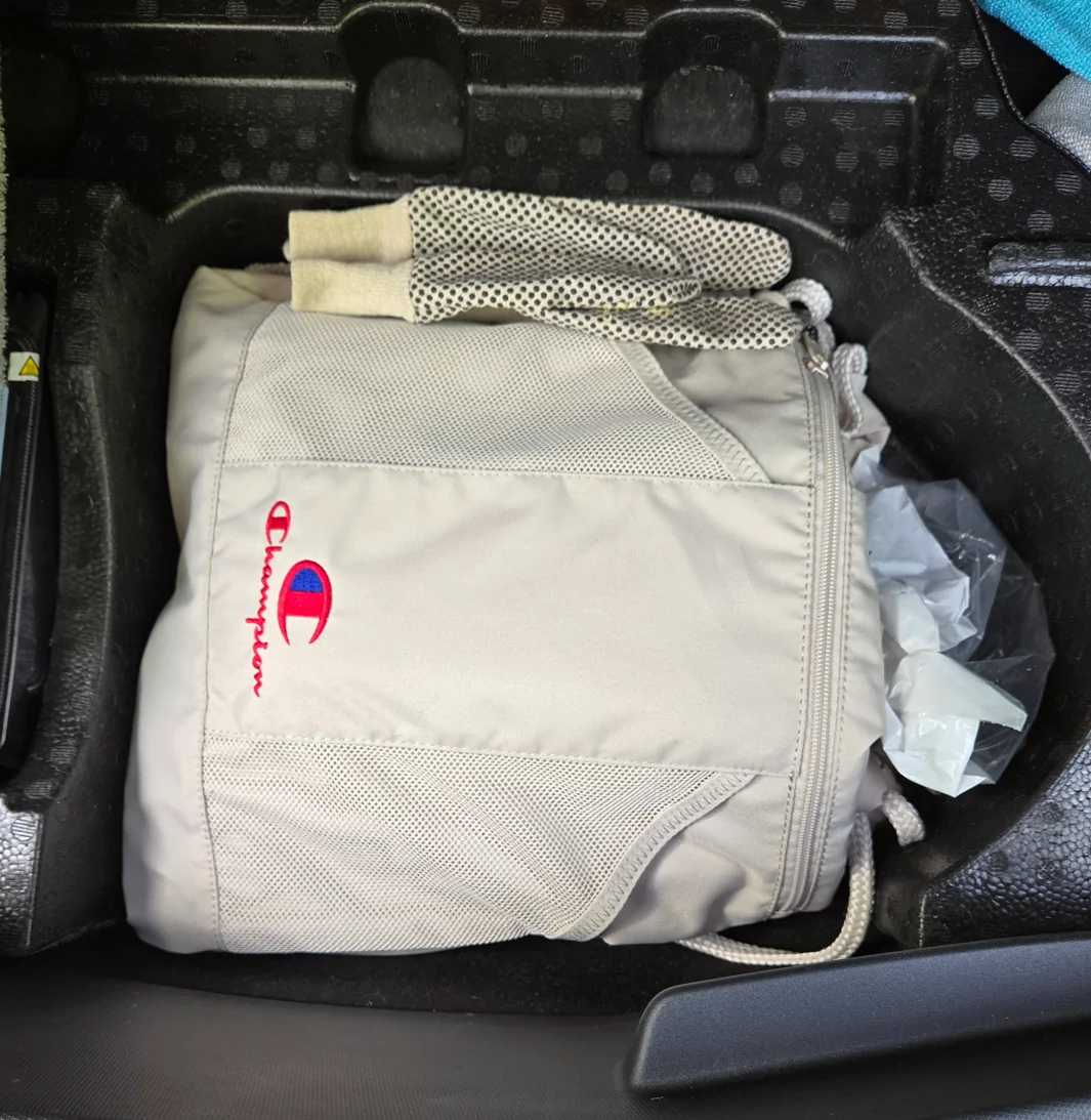 Ford Mustang Mach-E Carrying bag for charger and cables 1776105243614-0h