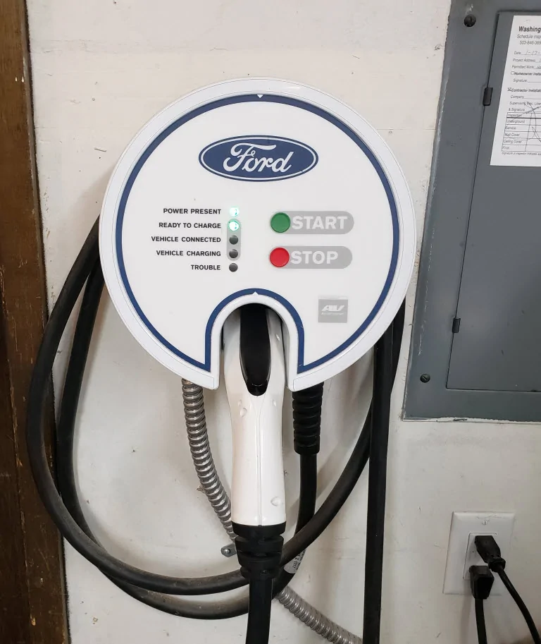 Ford Mustang Mach-E Just for fun, but a long read (TLDR) my level 2 charger