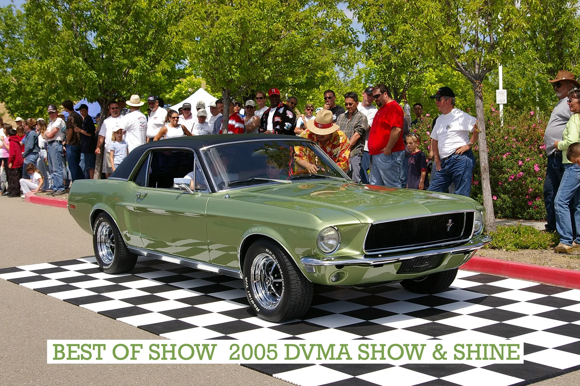 Ford Mustang Mach-E Replaced my broken Active Grill Shutter Vane / Louver 1777605775138-