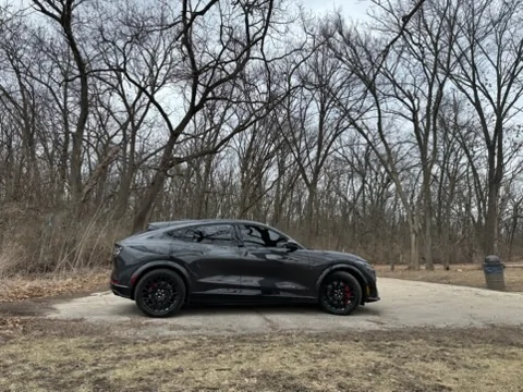 Ford Mustang Mach-E The Tint Picture Thread 10263