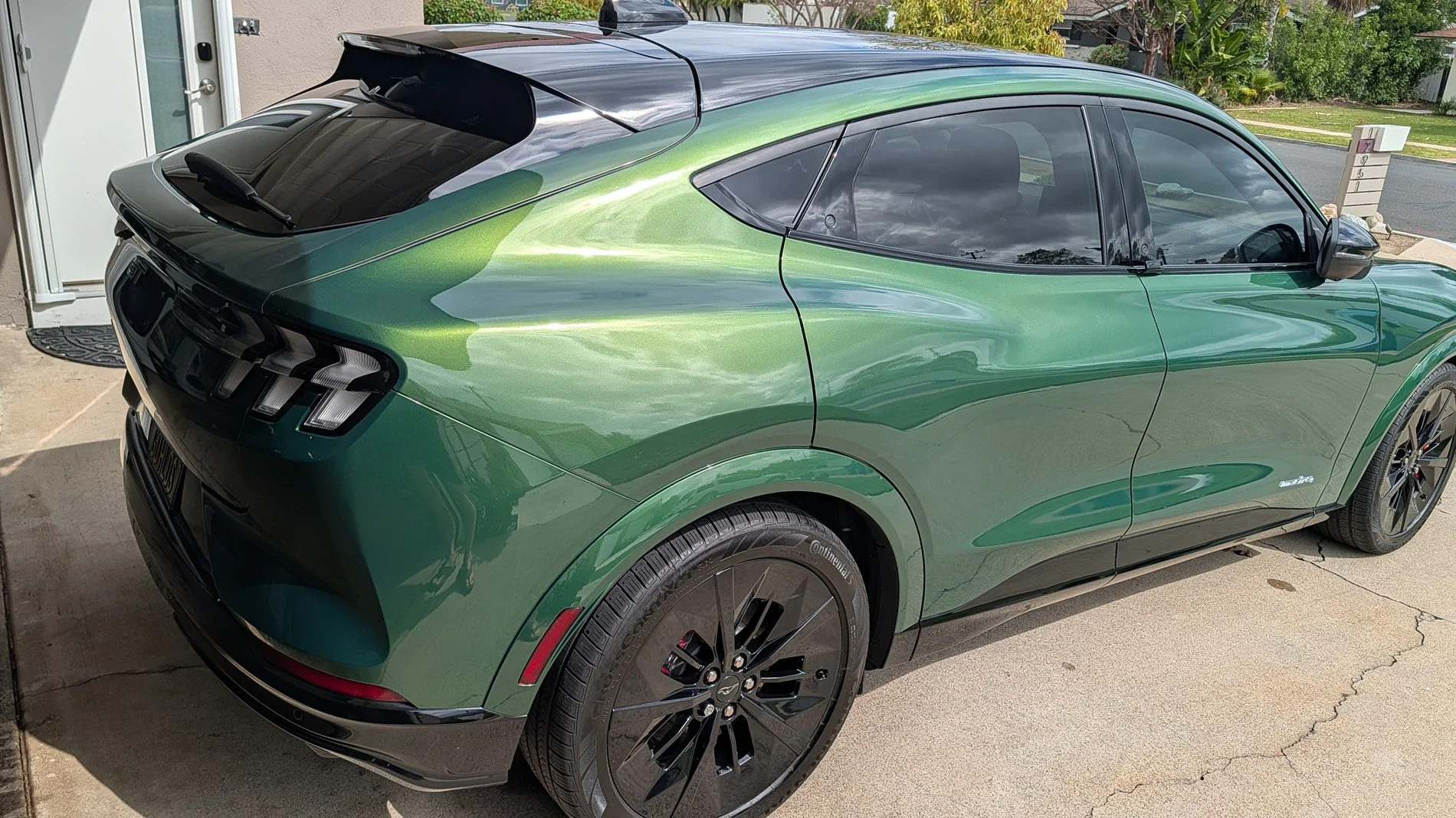Ford Mustang Mach-E The Tint Picture Thread PXL_20260310_182750404