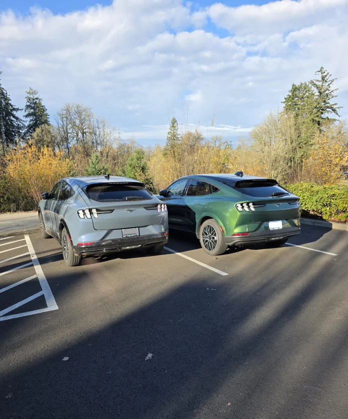Ford Mustang Mach-E Who dis? 1780415027008-1y