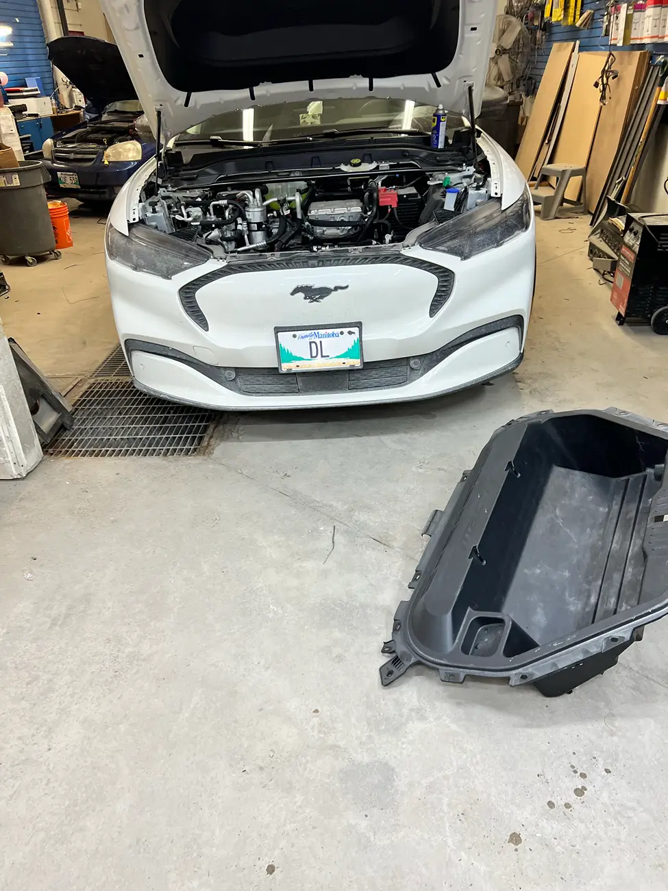 Ford Mustang Mach-E MachE Select Audio - Base Audio - Stereo Upgrade Build tempImagerVOuYs