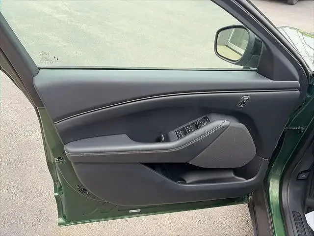 Ford Mustang Mach-E Door panel differences? 1780869310884-f1