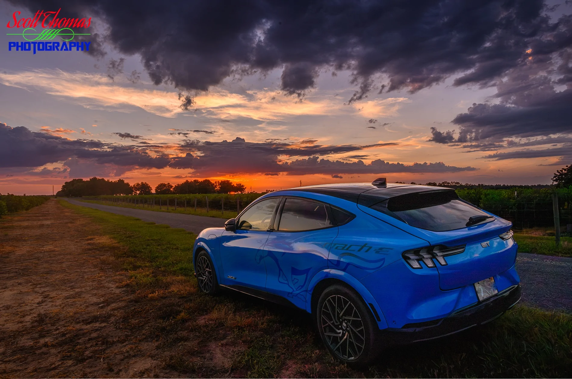 Ford Mustang Mach-E stMache - Blu Max, The Performance Edition ST9_1913-Pano