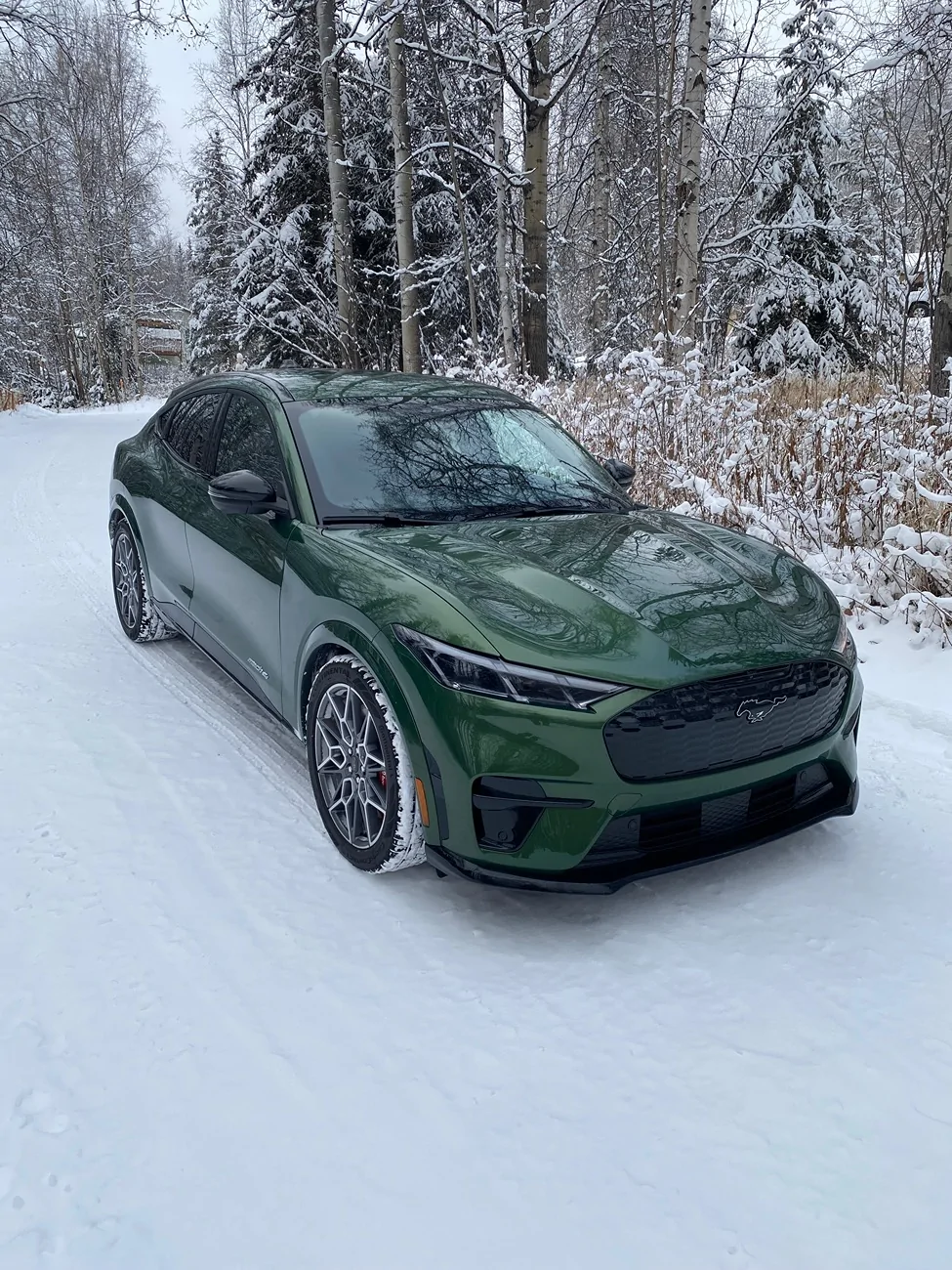 List of 2026 Orders and Times | Page 67 | MachEforum - Ford Mustang ...