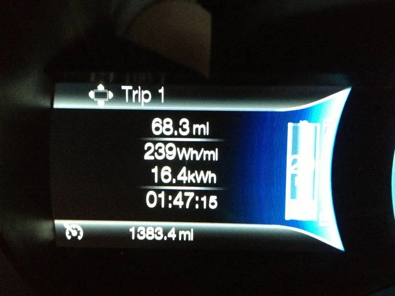 Ford Mustang Mach-E What is missing.. tripmeter