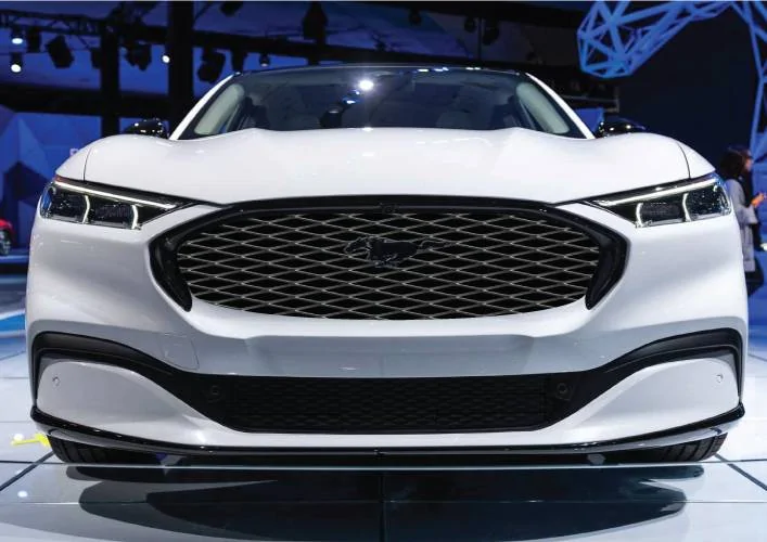 Ford Mustang Mach-E Grille Wrap mock-ups 30573502
