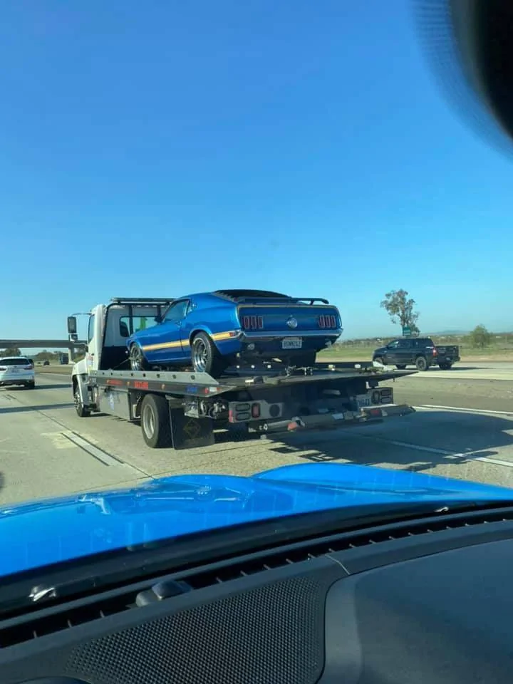 Ford Mustang Mach-E GRABBER BLUE Mach-E Photos 1614272066979