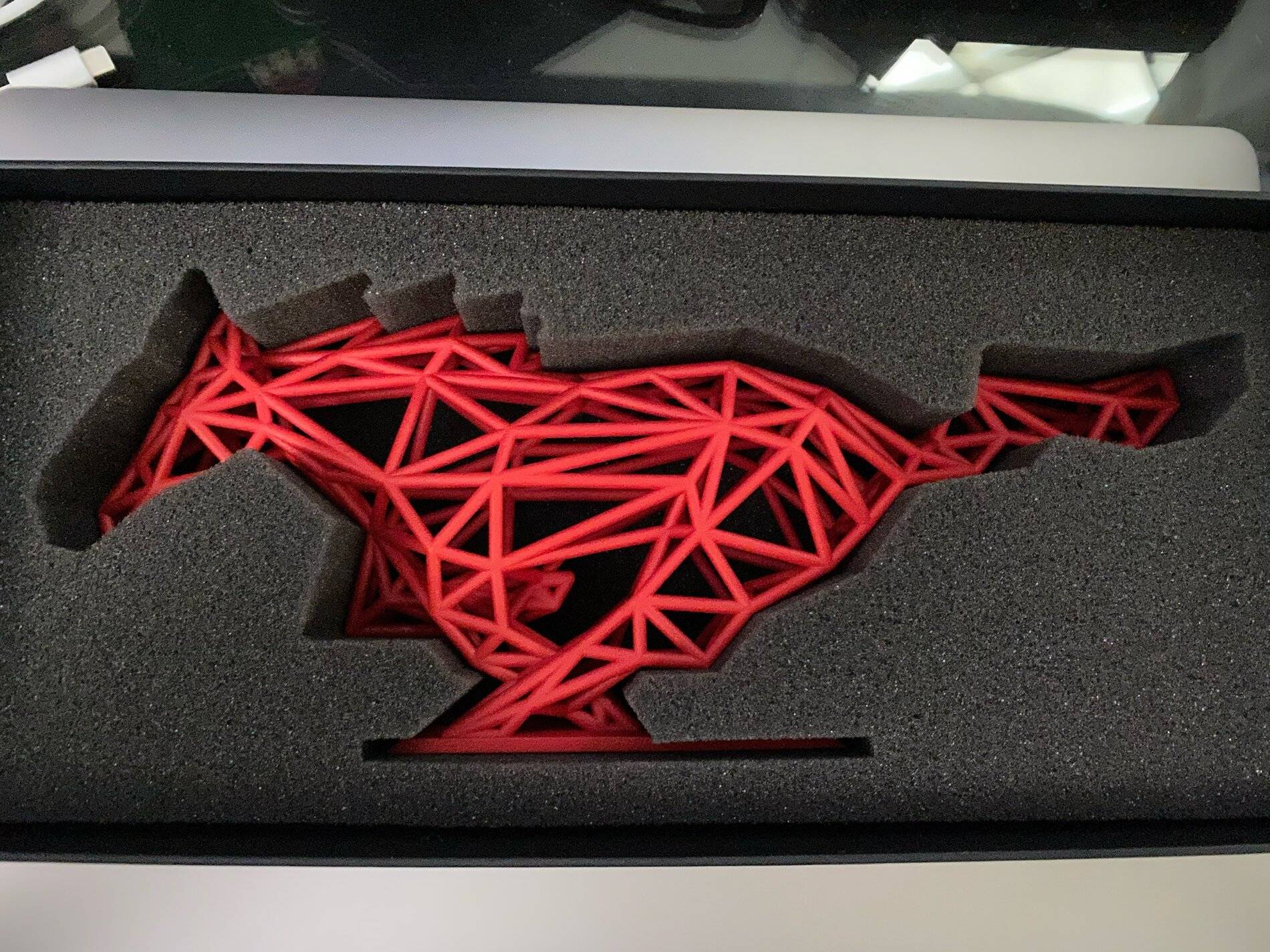 Ford Mustang Mach-E Received a Mach-E First Edition surprise gift! 3D printed fractal pony with VIN display. 59FF26C4-C4E8-4BFB-ACE0-4A6F3EA2C883