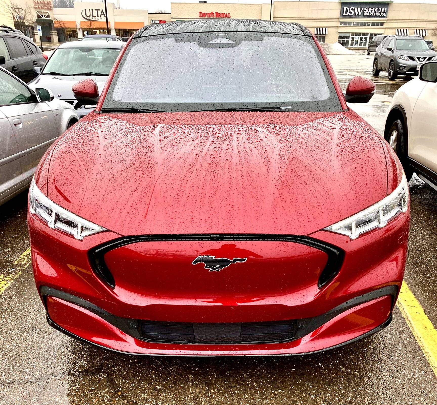 Ford Mustang Mach-E DIY car wash and ceramic coating recommendations 9DA28D03-9193-4A39-AD60-C40A2117E222
