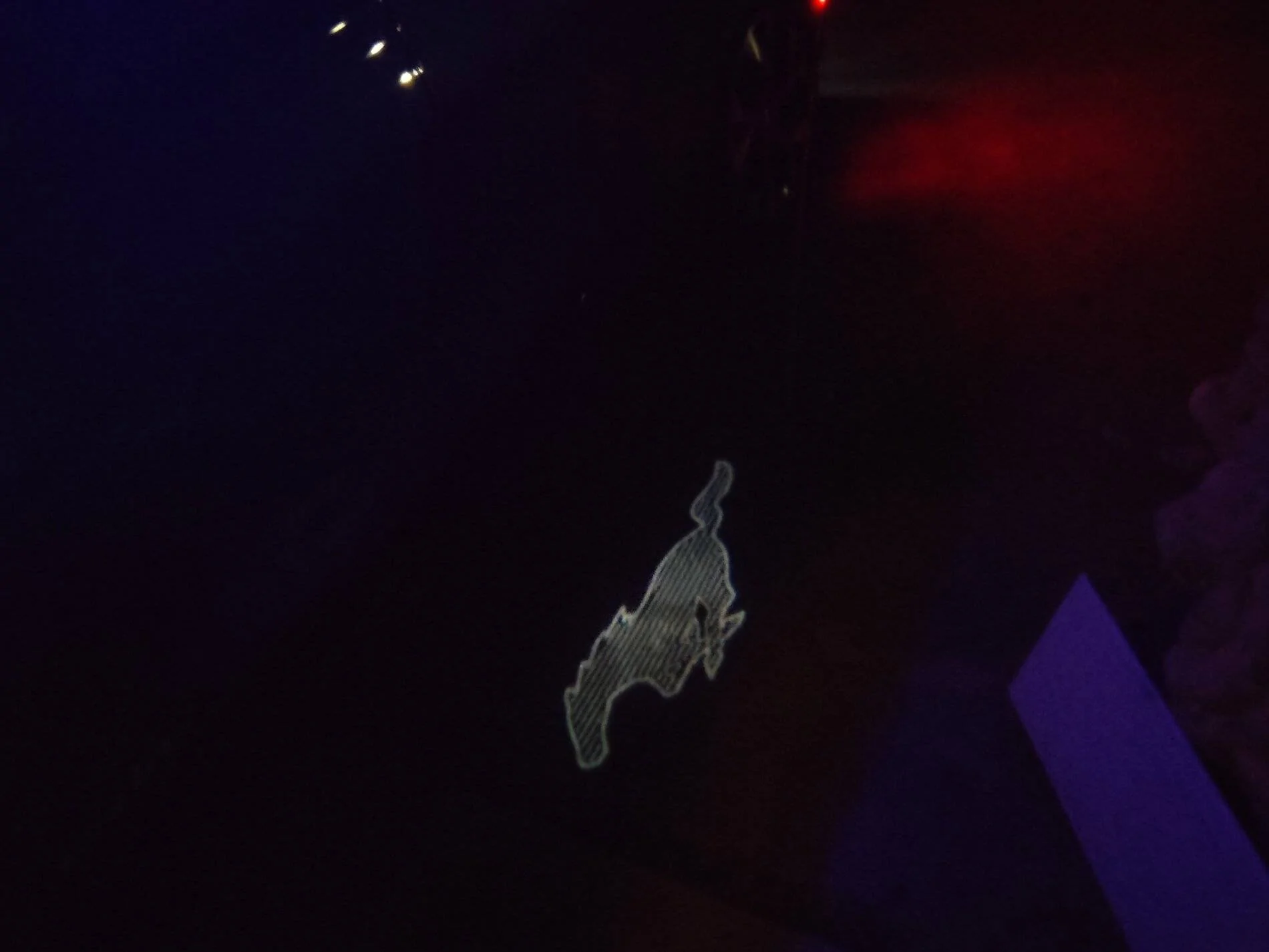 Ford Mustang Mach-E Welcome lighting IMG_20210303_055322