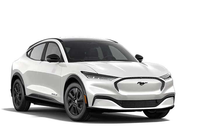 Ford Mustang Mach-E Submitted Orders Tracking List and Stats [Enter Yours] 1615371193768