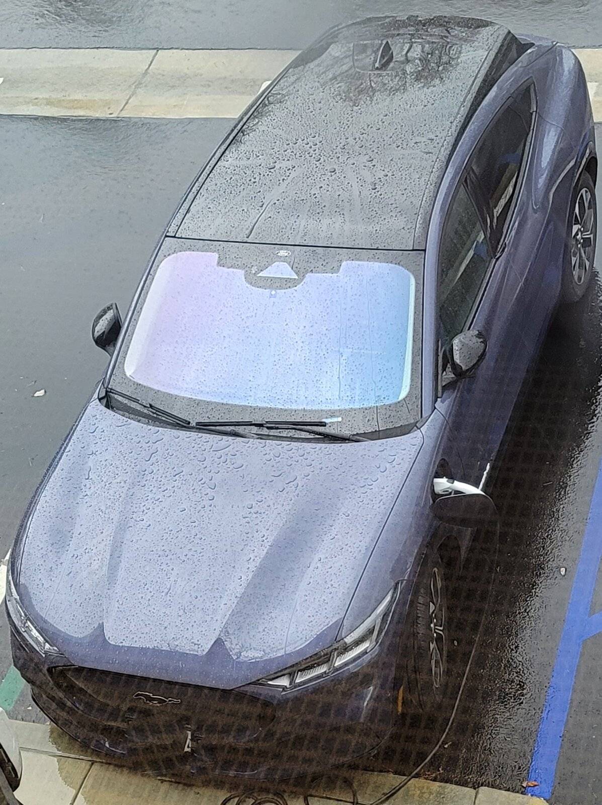 Ford Mustang Mach-E What About Ceramic Coating? Mach E 3 in Rain