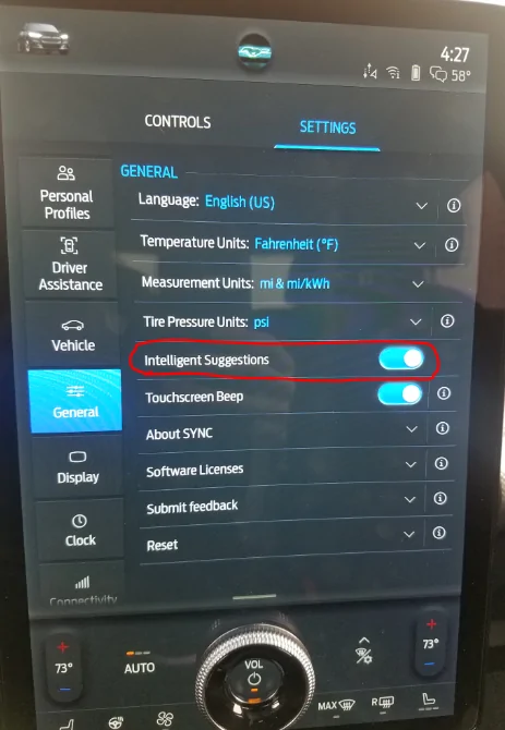 Ford Mustang Mach-E What is this message - 1615592127108