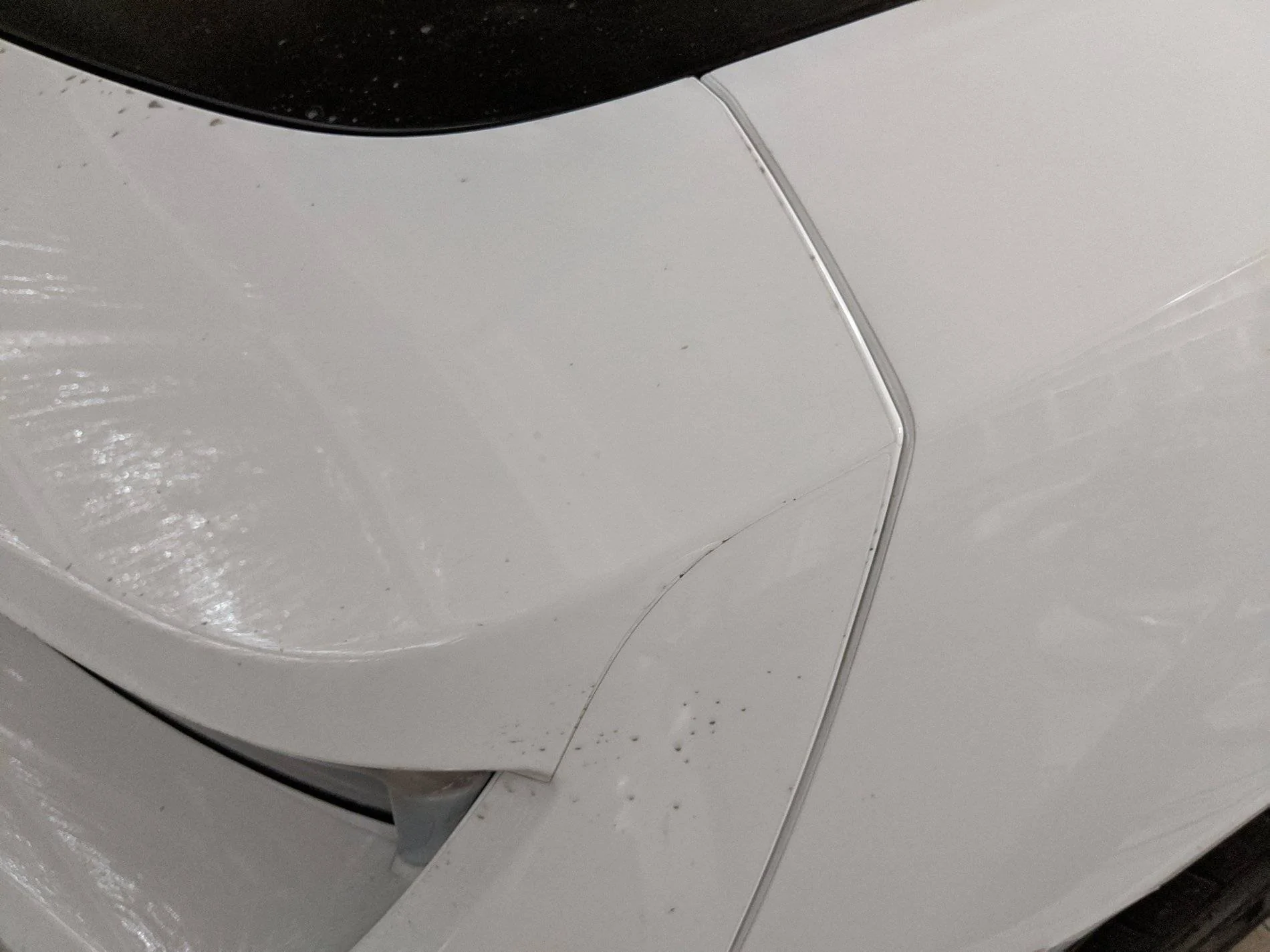 Ford Mustang Mach-E Paint Protection Film (PPF) such as XPEL for Mach-E IMG_20200413_124135