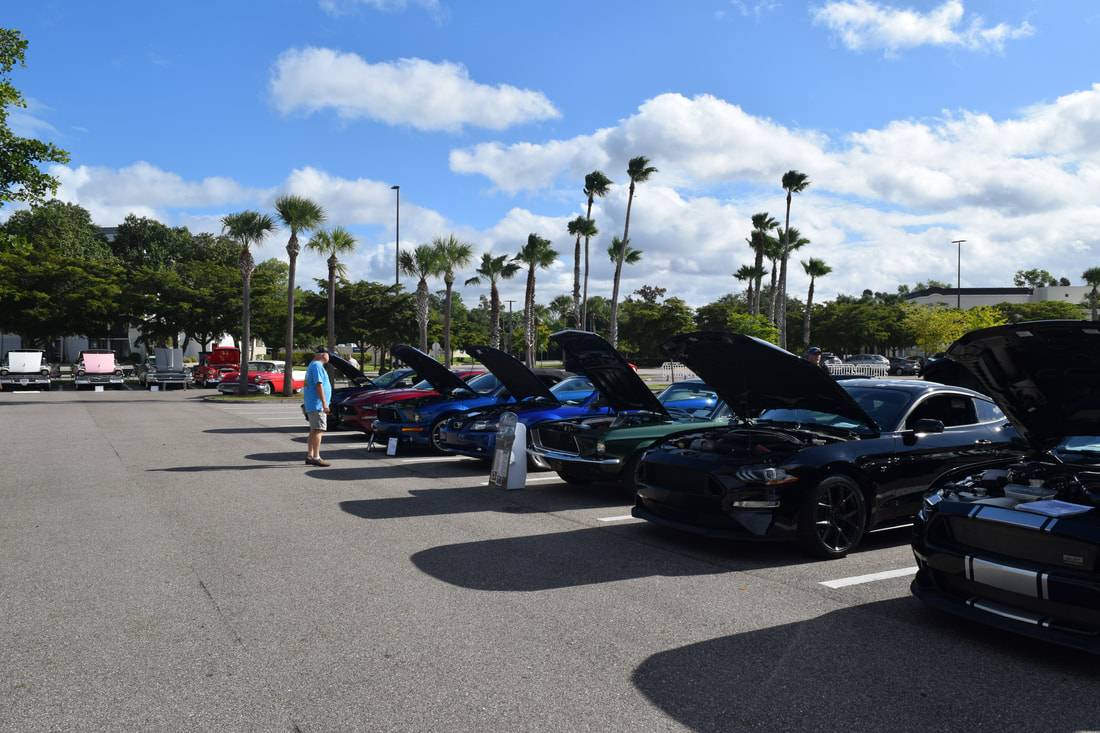 Ford Mustang Mach-E So I joined the Mustang Club of America . . . dsc-0165_1_ori
