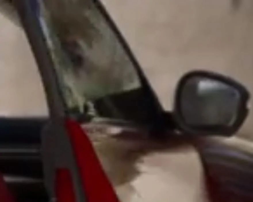 Ford Mustang Mach-E Factory video showing Mach-E details incl pedestrian alert sound and reshaped door handle Door Handl