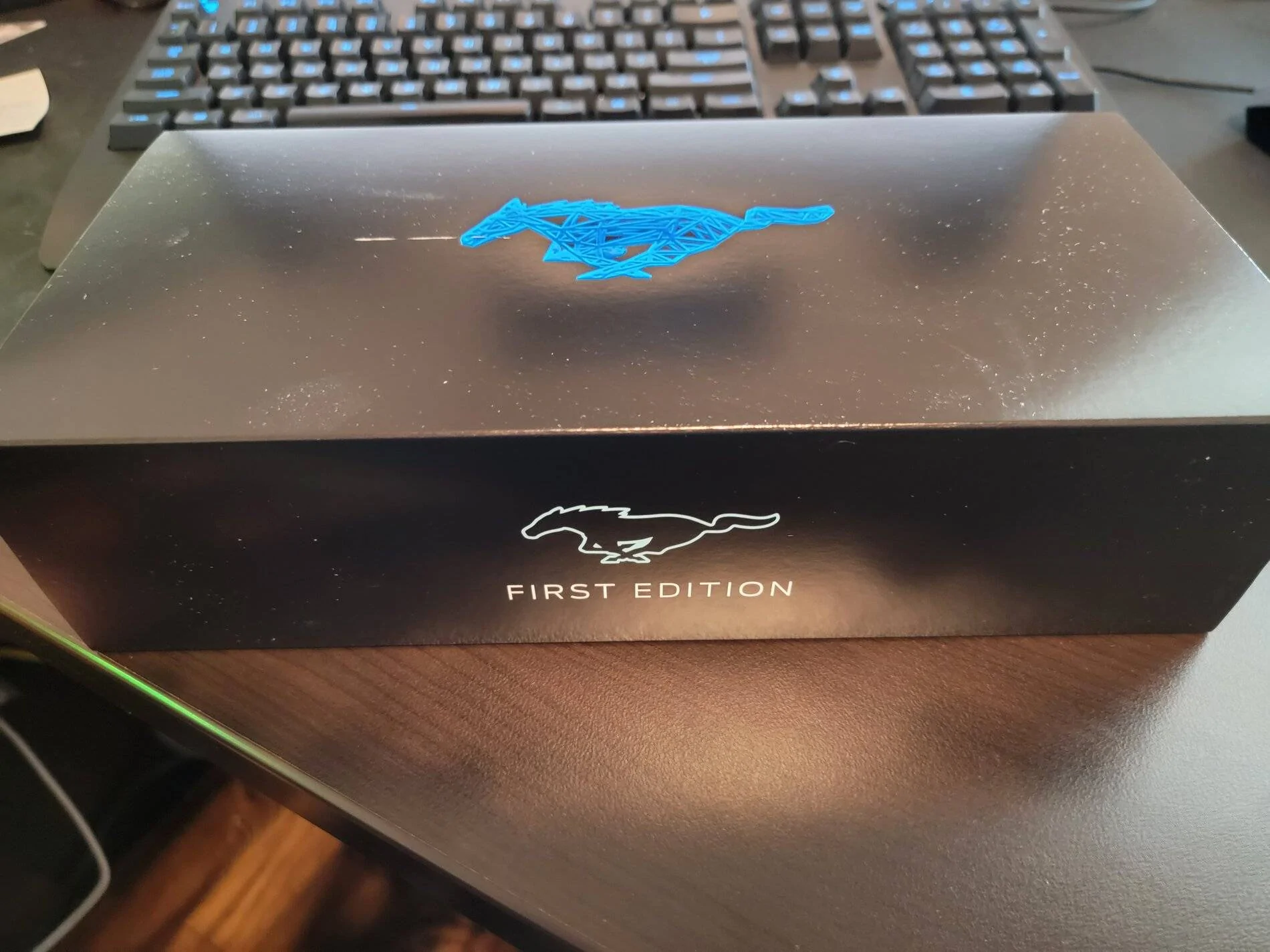 Ford Mustang Mach-E Received a Mach-E First Edition surprise gift! 3D printed fractal pony with VIN display. 20210316_083649